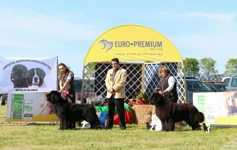 Фотография № 208712