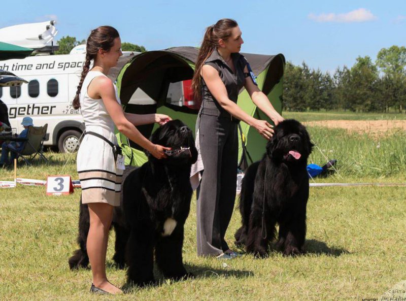 Фотография № 208713