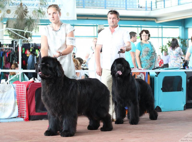 Фотография № 208715