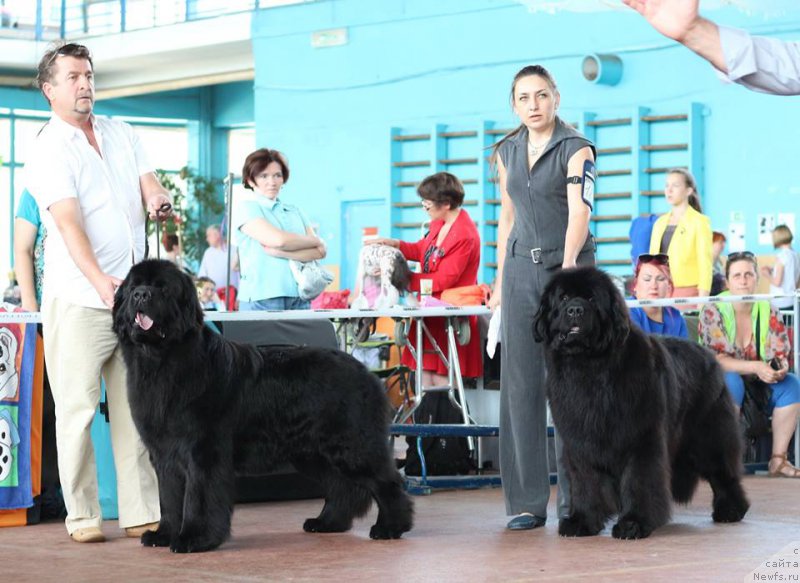 Фотография № 208716