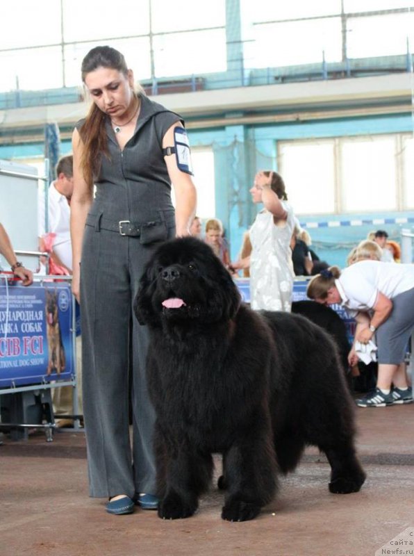 Фотография № 208717