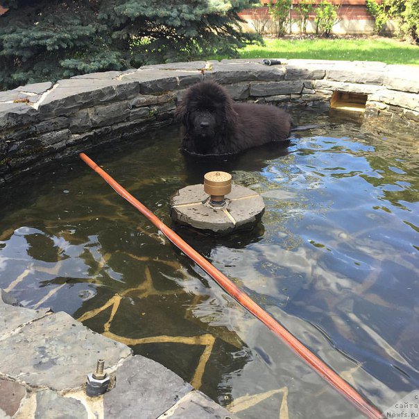 Фотография № 208735