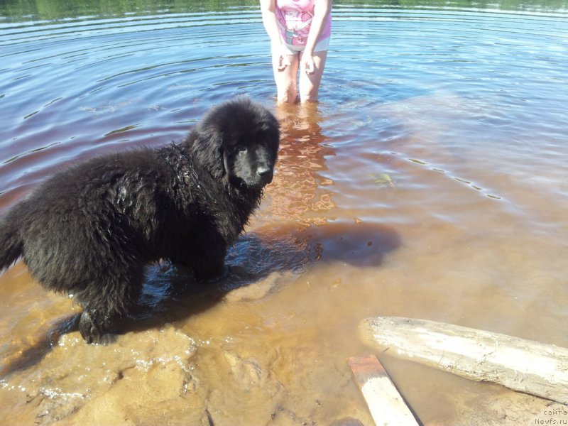 Фотография № 208743