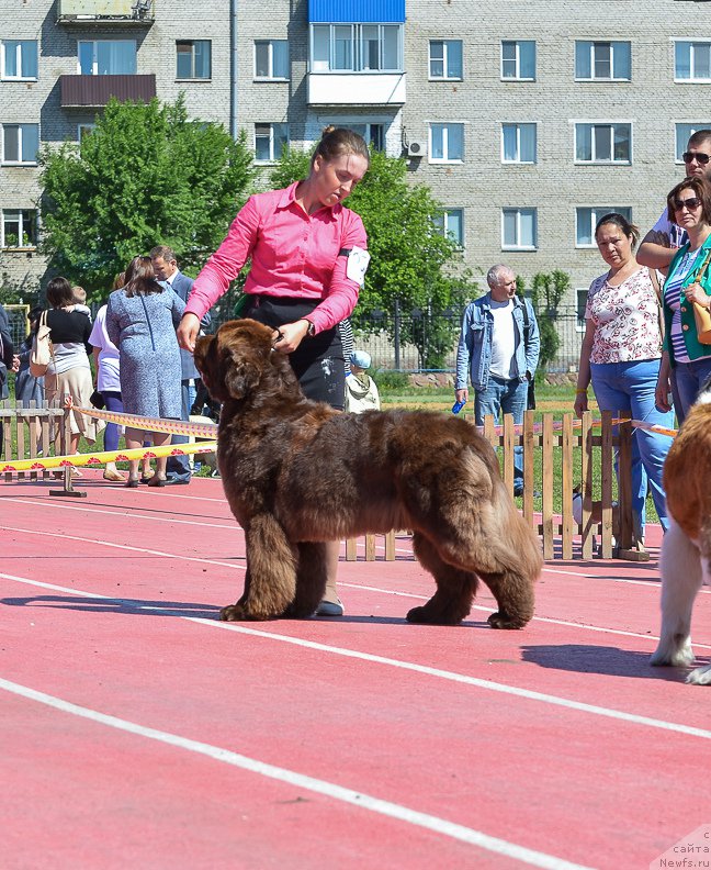 Фотография № 208749