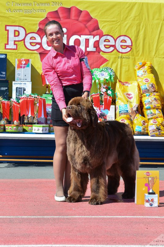 Фотография № 208750