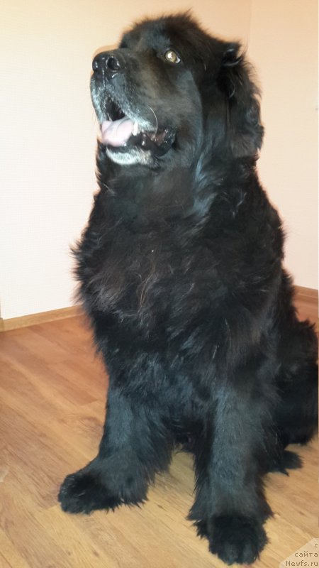 Фотография № 208758