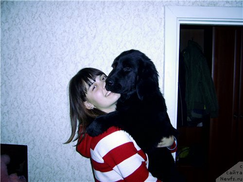 Фотография № 208759