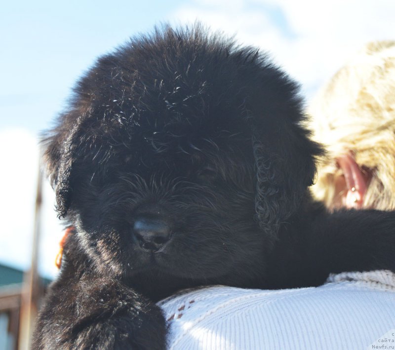 Фотография № 208776