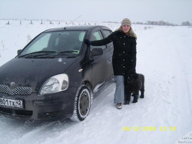 Фото: Lyudmila Lityaeva (Людмила Литяева), ньюфаундленд Jemchujina Sibiri ot Marleon Dusvik (Жемчужина Сибири от Марлеон Дусвик)