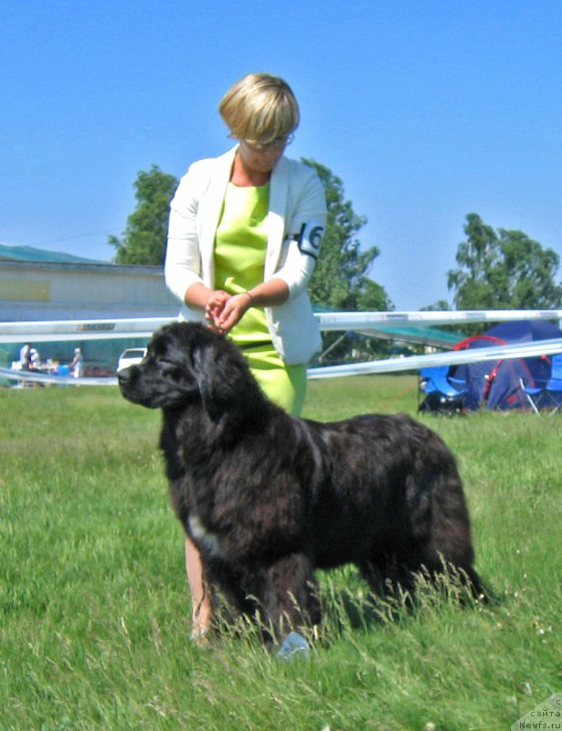 Фотография № 208808