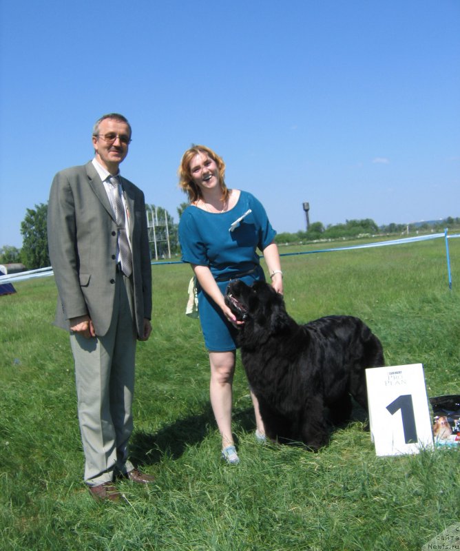 Фото: ньюфаундленд Super Premium Invisible (Супер Премиум Инвисибл)