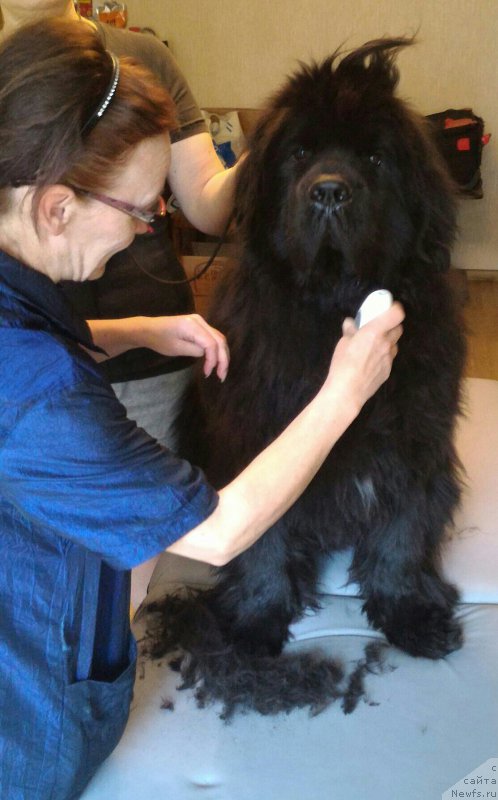 Фотография № 208850