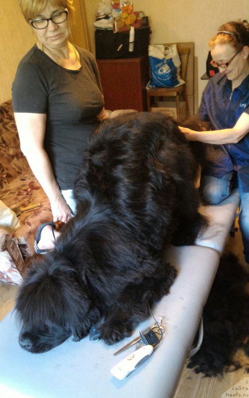 Фотография № 208851