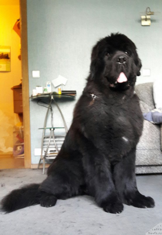 Фотография № 208852