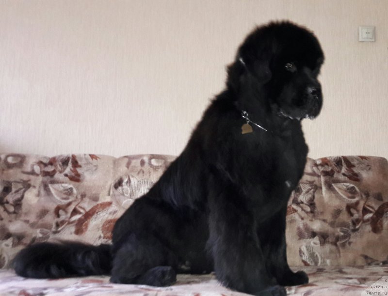 Фотография № 208854