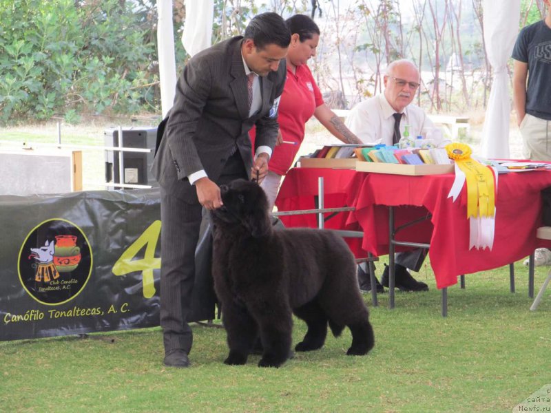 Фотография № 208865