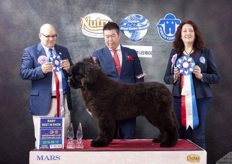 Фотография № 208866