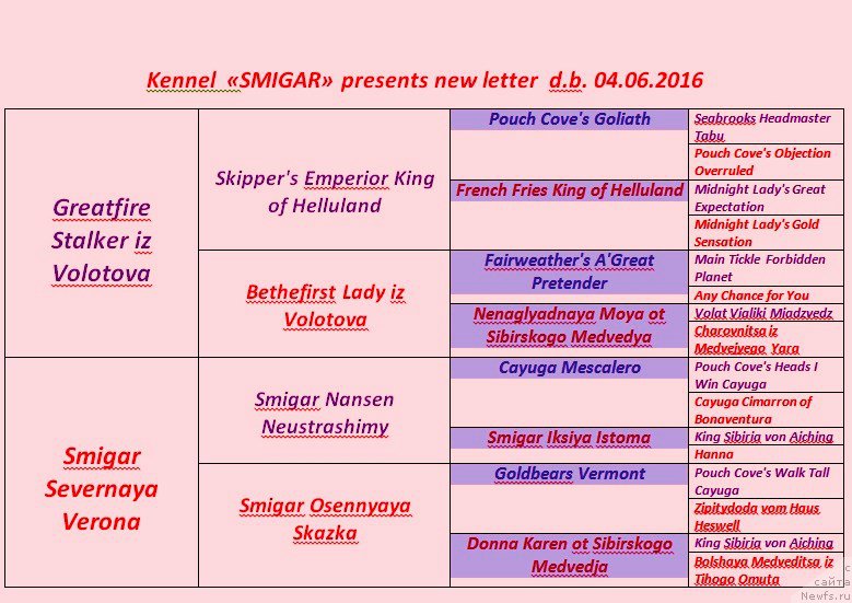 Фотография № 208911