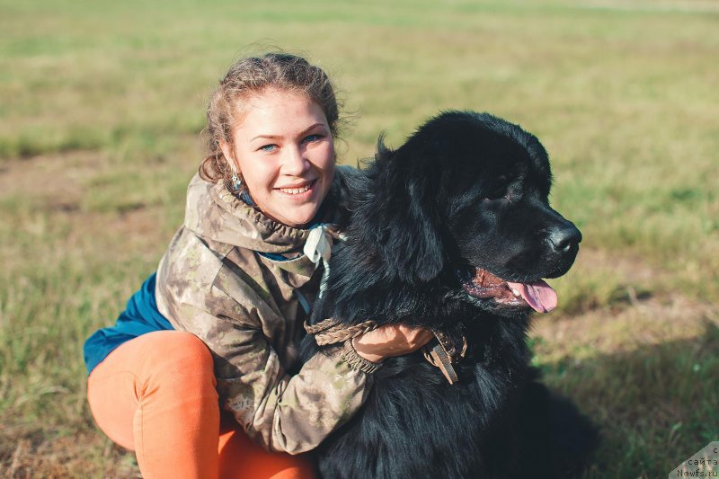 Фото: ньюфаундленд P'er Livi (Пьер Ливи)