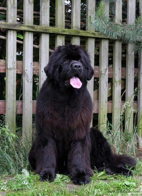 Фотография № 209002