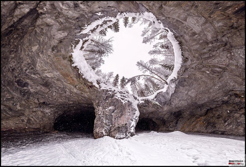 Фото: ньюфаундленд Baffi ot Karel'skih Medvedey (Баффи от Карельских Медведей)