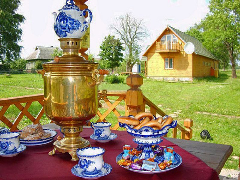 Фото: ньюфаундленд Super Bizon Melodiya (Супер Бизон Мелодия)