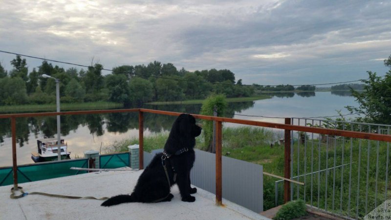 Фотография № 209016