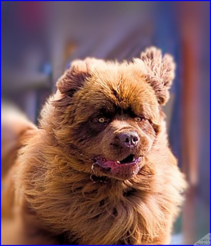 Фотография № 209043