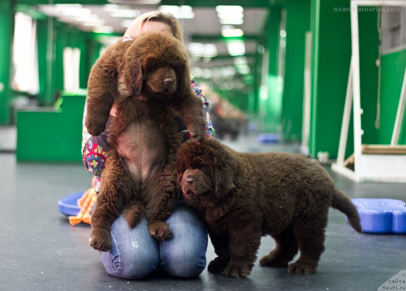 Фотография № 209072