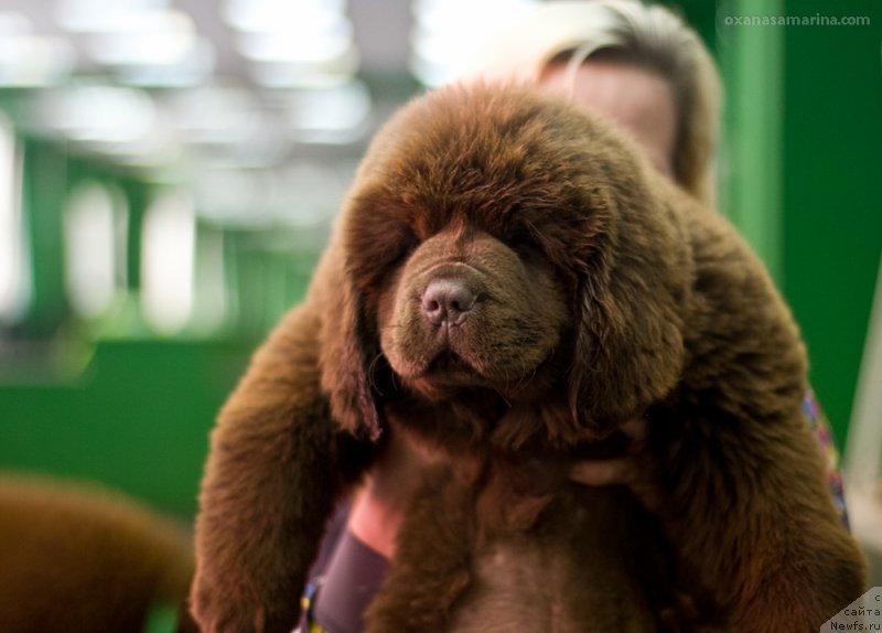 Фотография № 209073