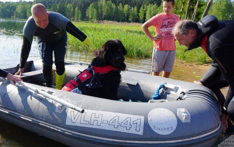 Фотография № 209091