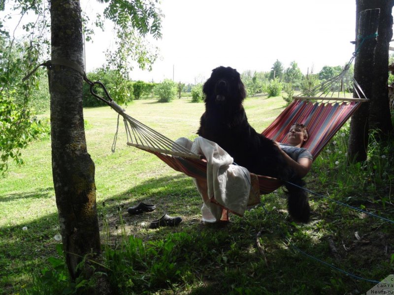 Фотография № 209092