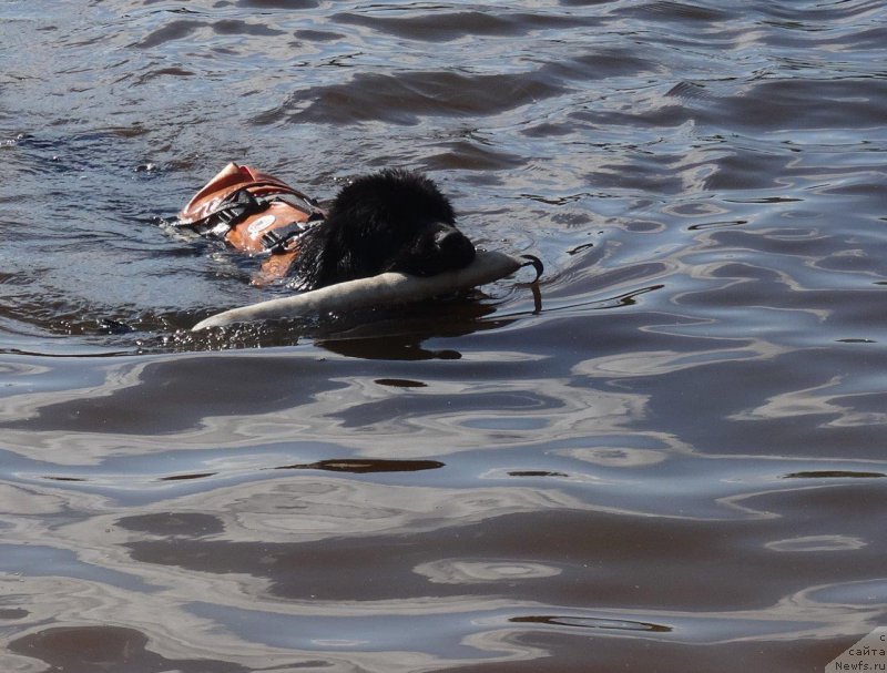 Фотография № 209094