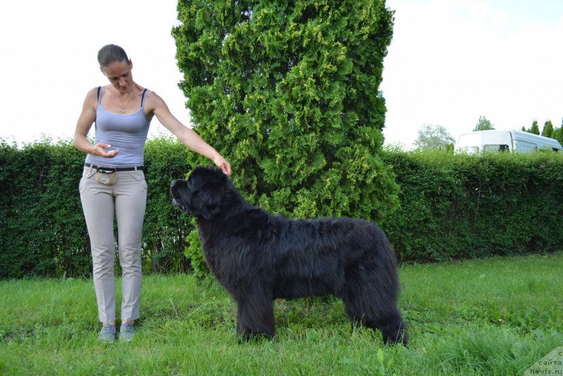 Фотография № 209108