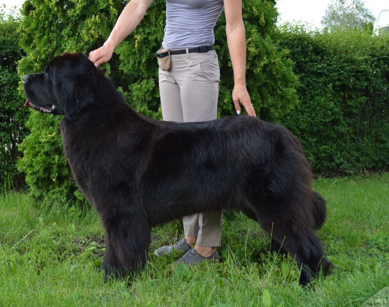 Фотография № 209110