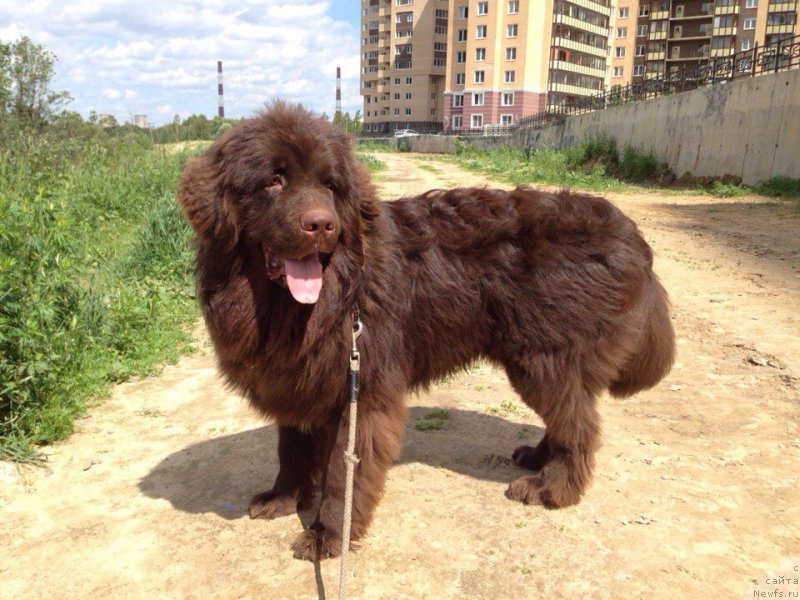 Фотография № 209135