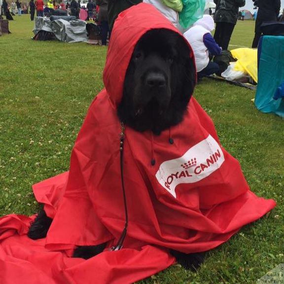 Фотография № 209141