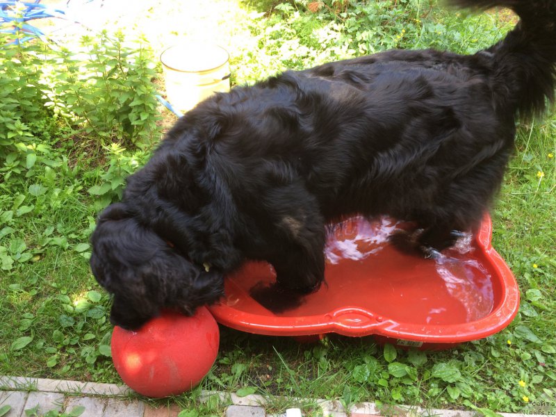 Фотография № 209142