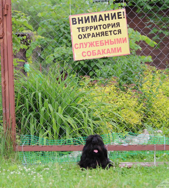 Фотография № 209145