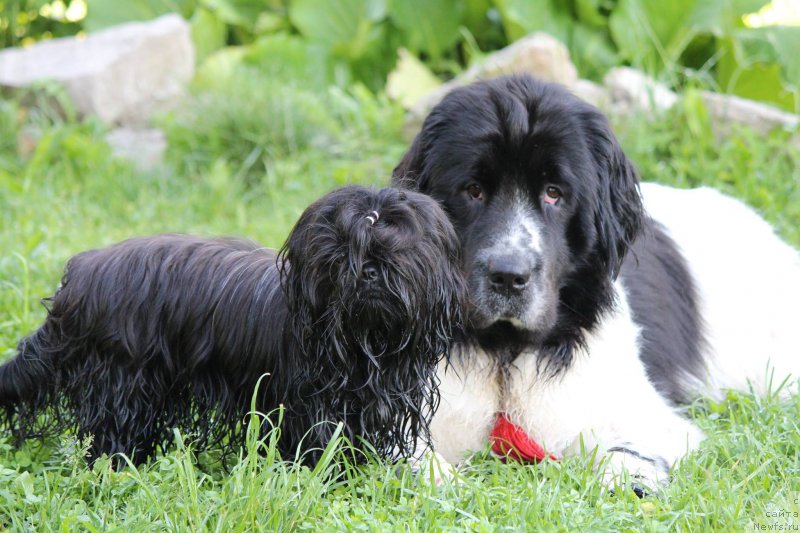 Фотография № 209146