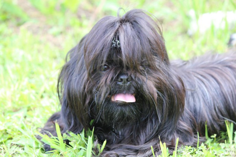 Фотография № 209147