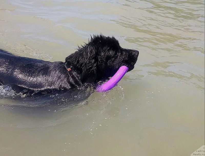 Фотография № 209165