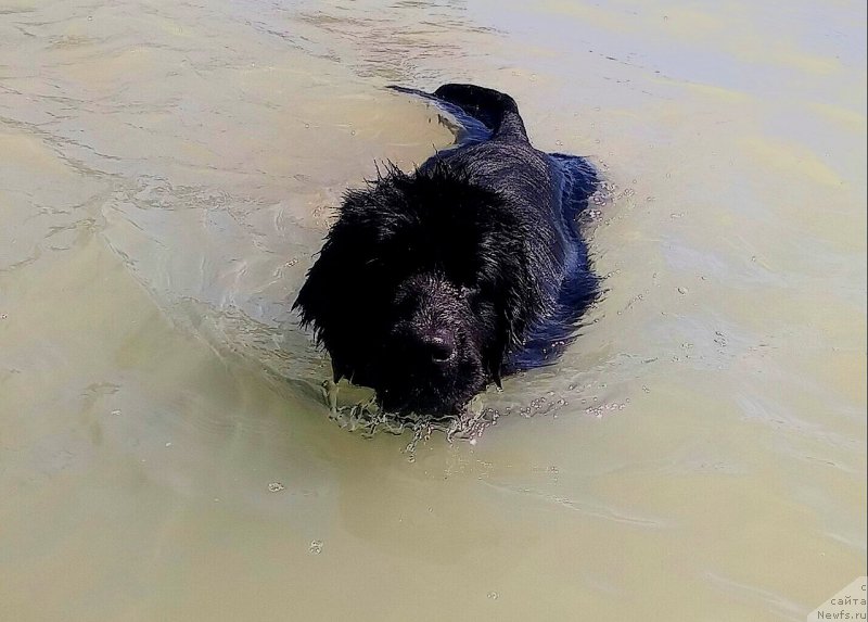 Фотография № 209166