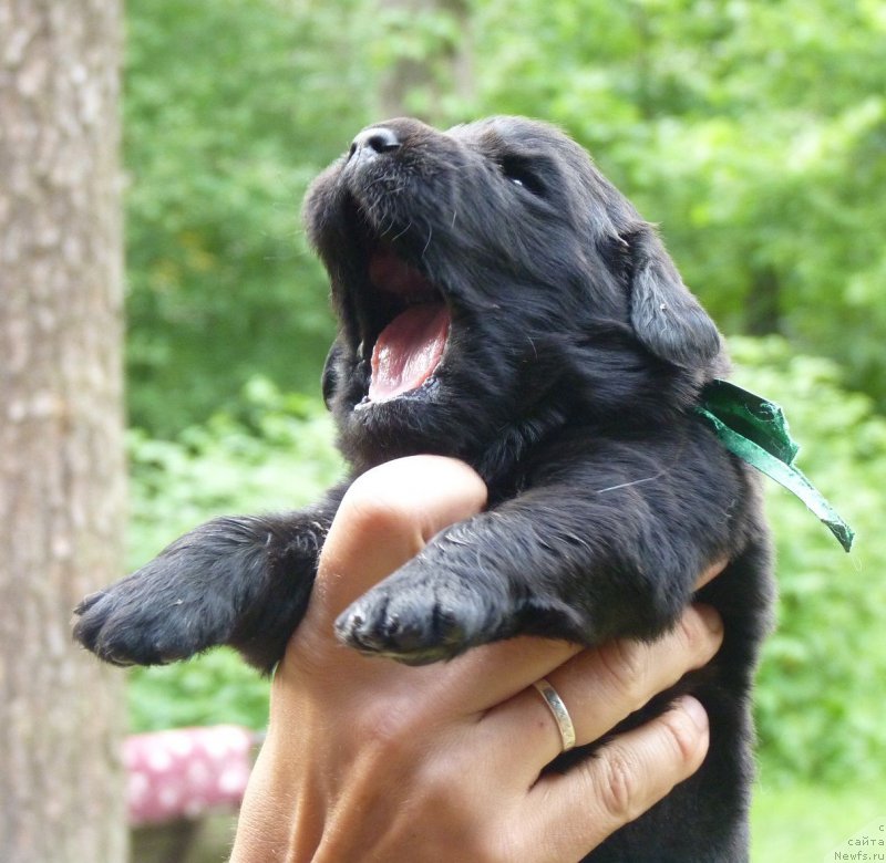 Фотография № 209212