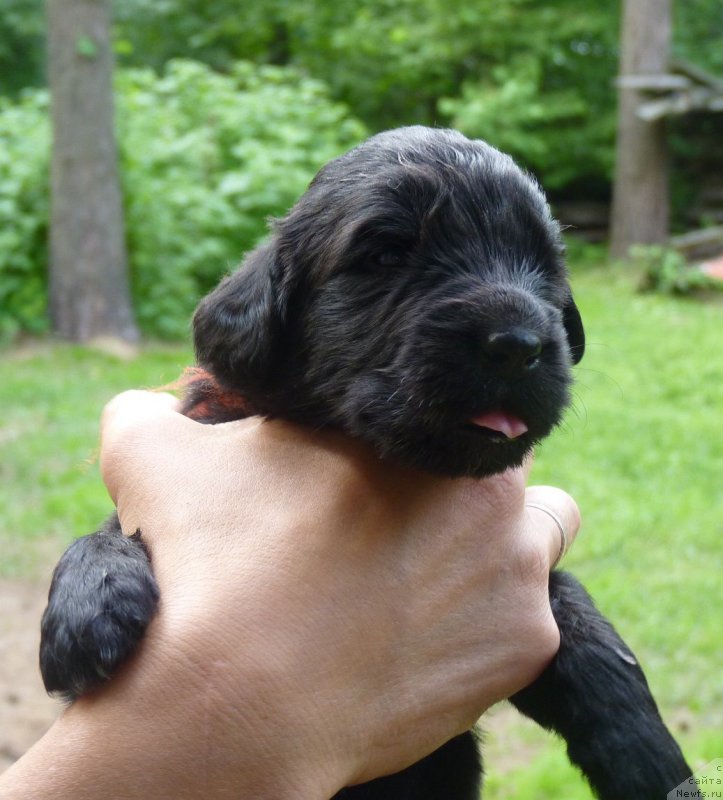 Фотография № 209215