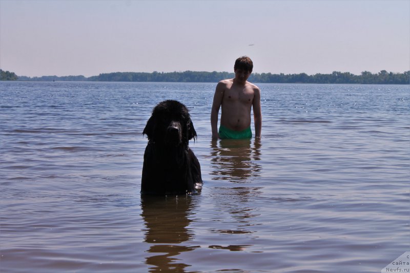 Фотография № 209241