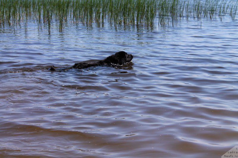 Фотография № 209244