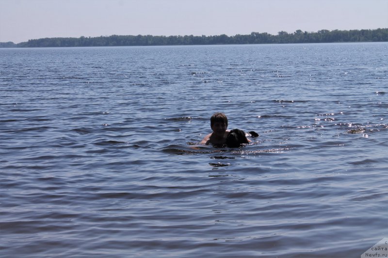 Фотография № 209245