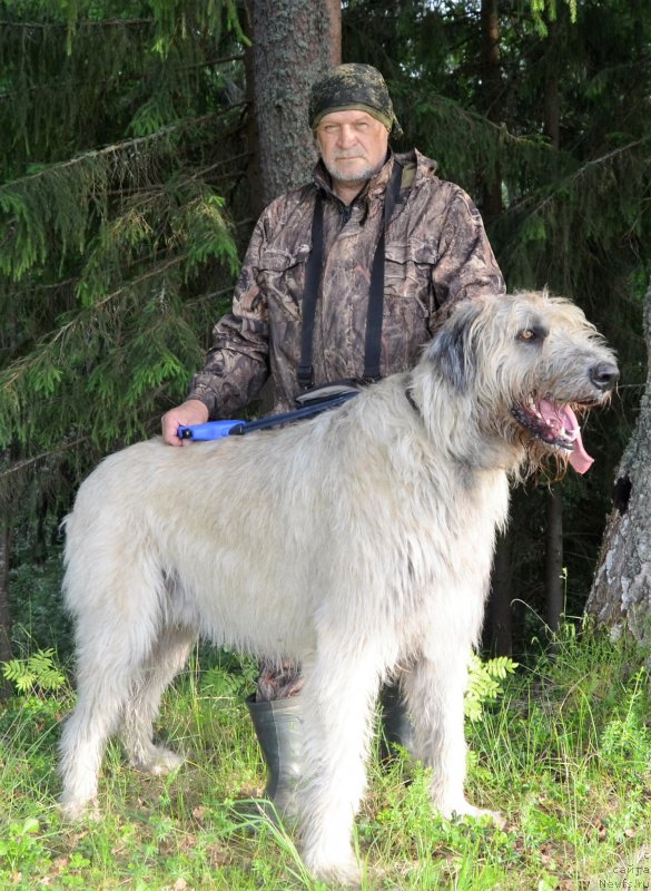 Фотография № 209247