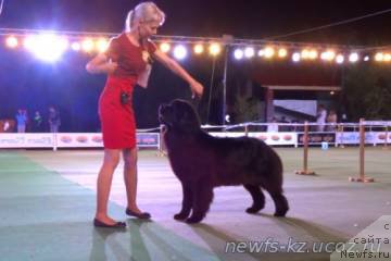 Фото: Эксклюзив Конекшен Виа Латеа